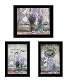 "Abundance of Beauty Collection" 3-Piece Vignette By Lori Deiter; Ready to Hang Framed Print; Black Frame