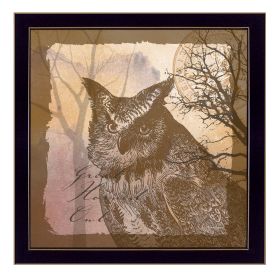 "Owl" By Barb Tourtillotte; Printed Wall Art; Ready To Hang Framed Poster; Black Frame